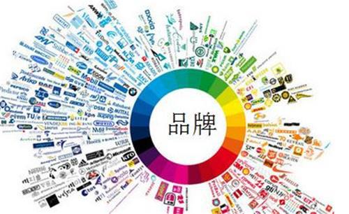志卓科技 以定制化服務為引擎，驅(qū)動技術(shù)推廣與品牌價值共贏