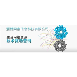 臨淄推廣新時代 網(wǎng)泰科技專業(yè)技術(shù)服務與代理合作新機遇
